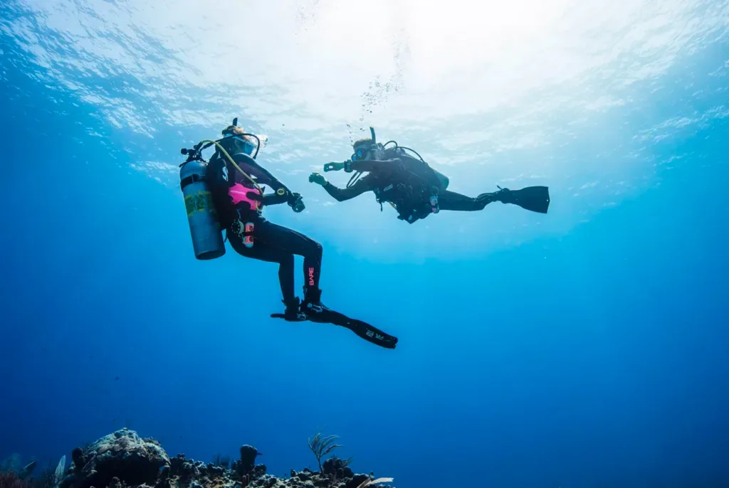 Scuba diver exploring underwater marine life during dive