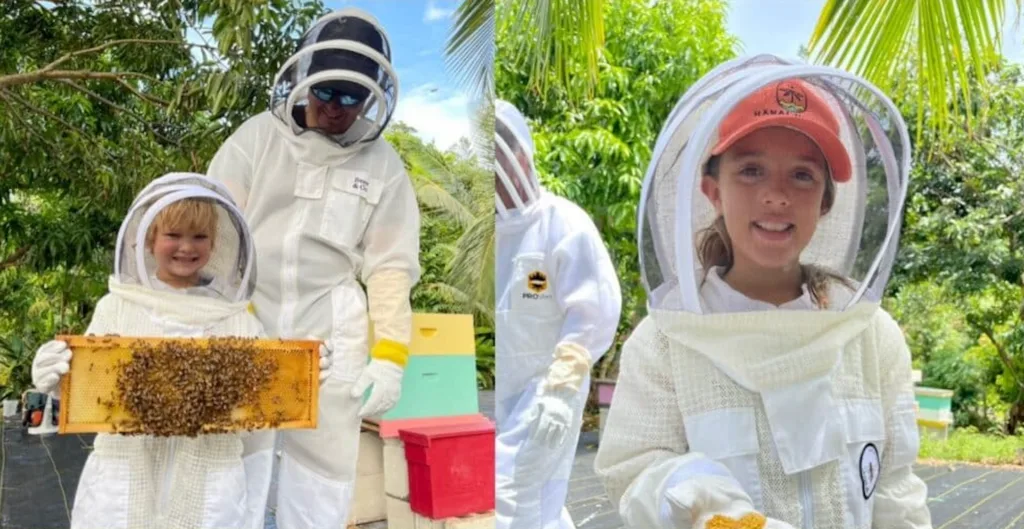 Visit a Hawaiian bee farm to learn about bees