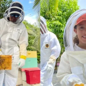 Visit a Hawaiian bee farm to learn about bees