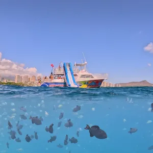 Group snorkeling adventure exploring vibrant ocean life