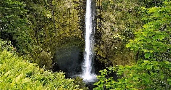 Guided tour exploring northern gems of Big Island