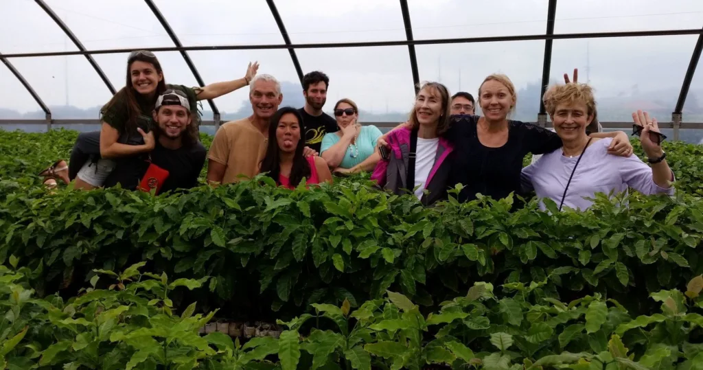 Tour exploring island coffee farms and local culture