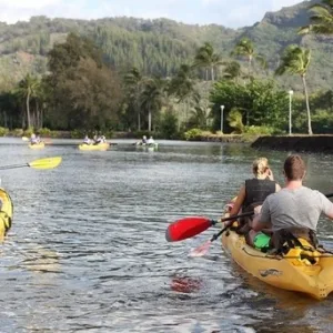 Half day kayak rentals for exploring local waterways