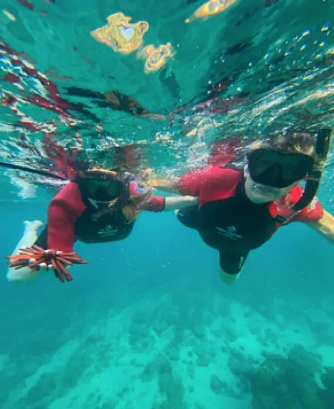 Beginner snorkeling tour with flotation wetsuits, no sea scooters
