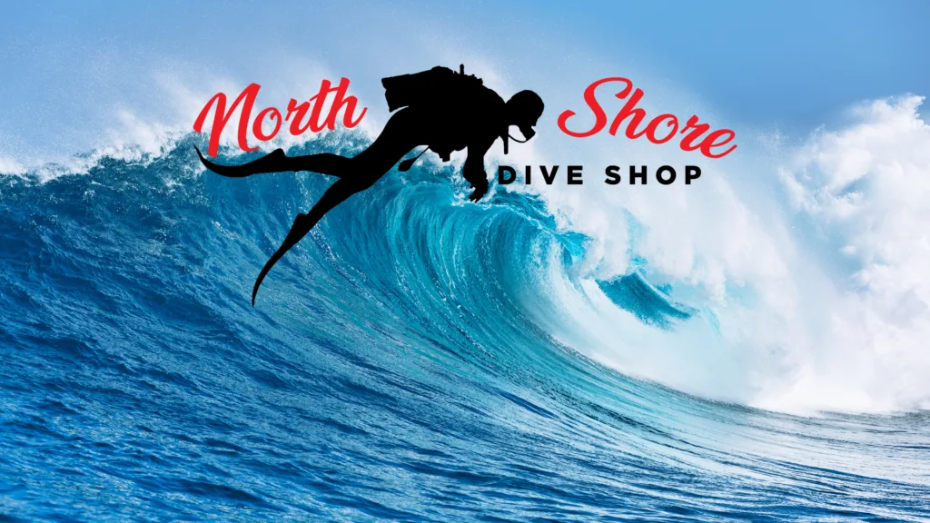 Surf lessons offered by North Shore Dive Shop