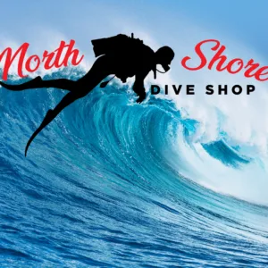 Surf lessons offered by North Shore Dive Shop