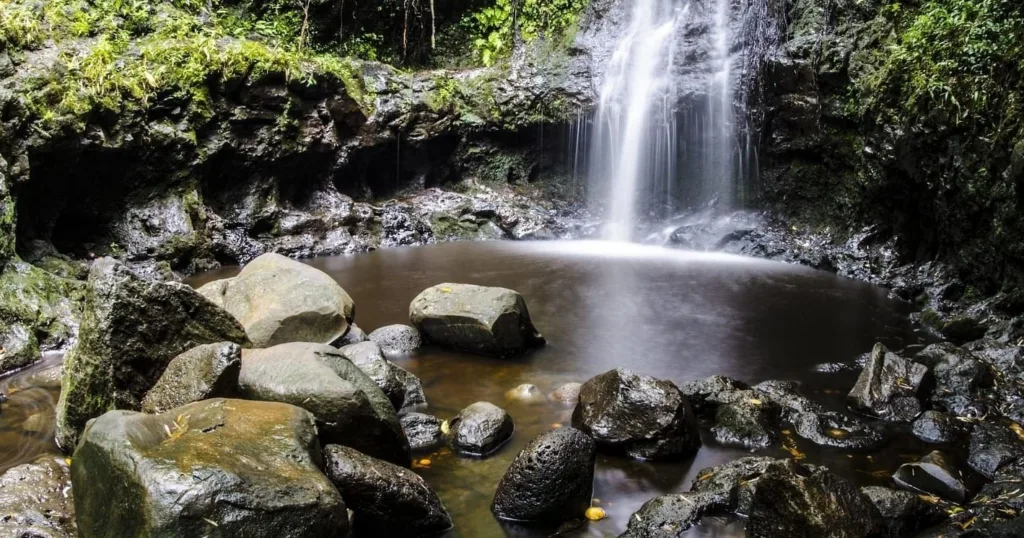 Hikers exploring lush trails at Waimea Falls Park