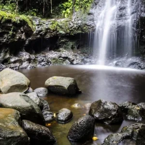 Hikers exploring lush trails at Waimea Falls Park