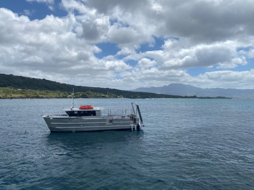 Scenic ocean tour capturing vibrant sunset colors