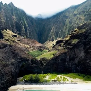 Whale breaching near rocky cliffs during west side sightseeing tour
