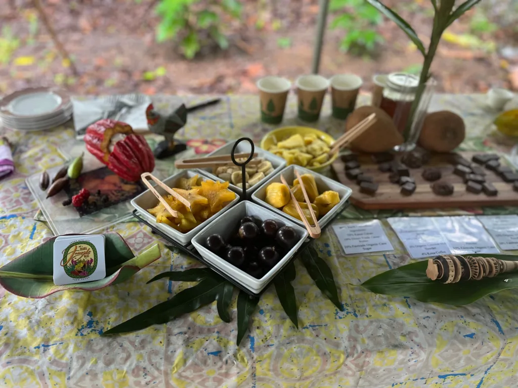 Visitors enjoying a guided chocolate farm tour experience