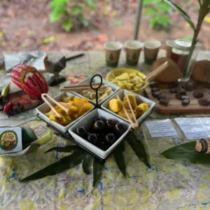 Visitors enjoying a guided chocolate farm tour experience