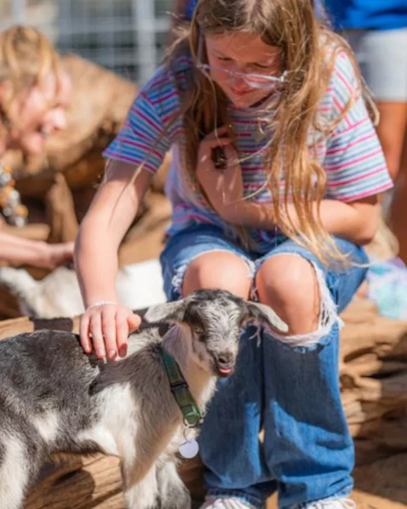 Child interacting gently with friendly goat on island