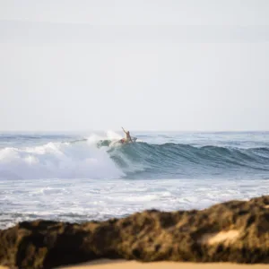 Guided surf experience exploring local wave spots