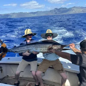 Half-day private offshore fishing adventure in afternoon