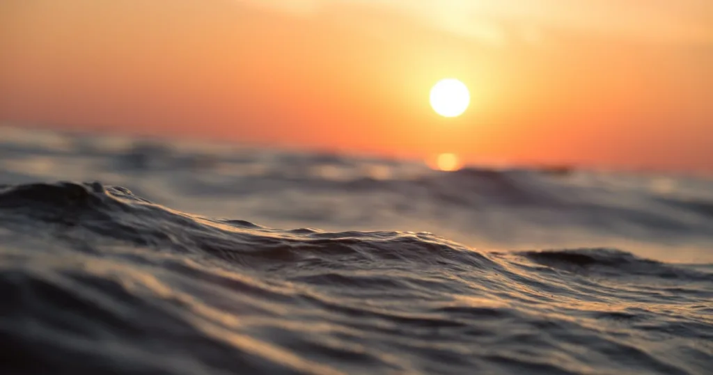 Crowd enjoying a public sunset cruise on a calm ocean
