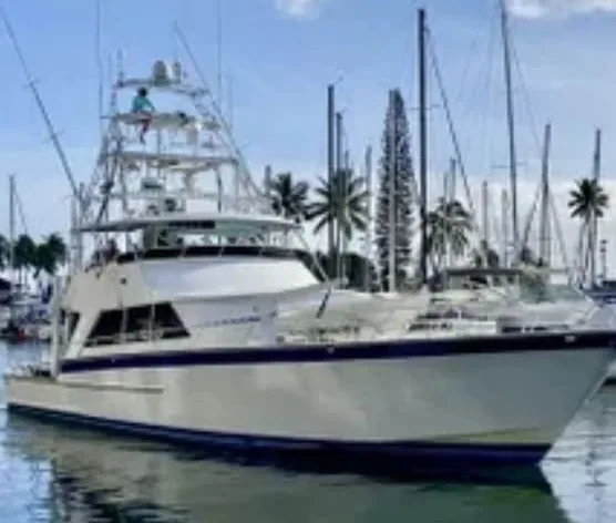 Enjoy a four hour whale watch cruise on Oahu waters