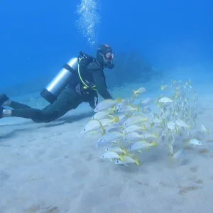 PADI Advanced Open Water SCUBA Certification