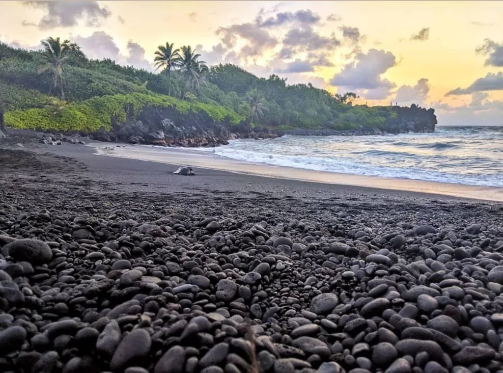 Jeep driving along scenic Hana backside coastline route