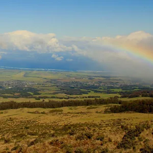 Visitors touring lush green fields on Maui farm tour