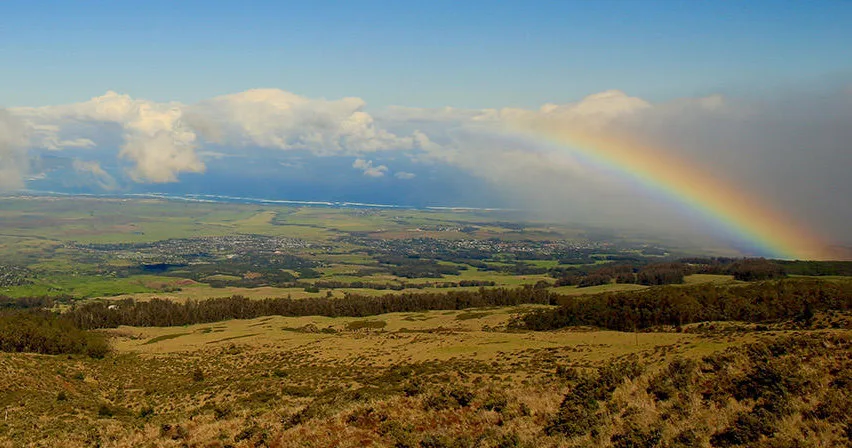 Visitors touring lush green fields on Maui farm tour