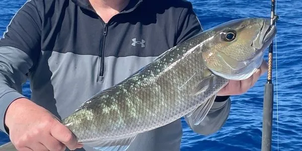 Anglers bottom fishing during four-hour Maui tour