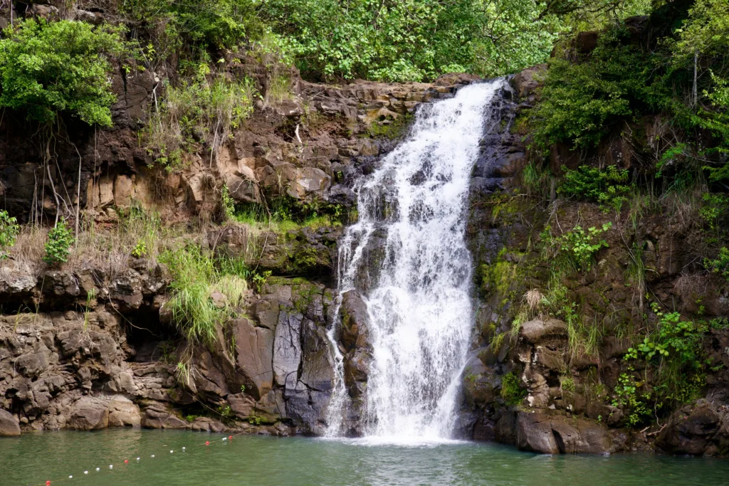 Private tour visiting waterfalls on North Shore