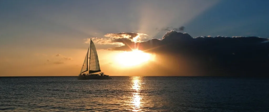 Sailboat cruising at sunset with whales visible nearby