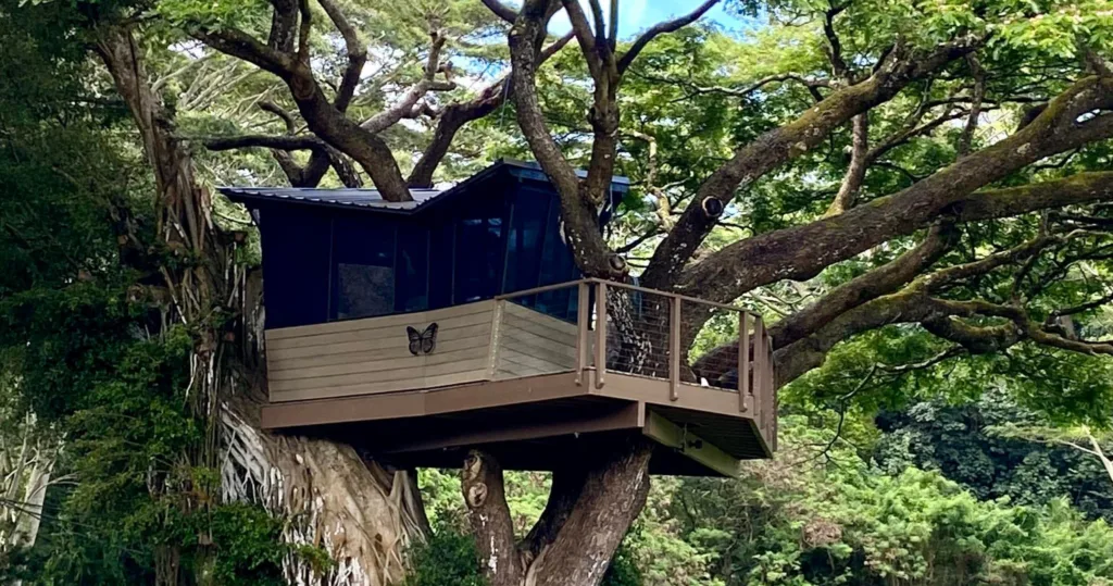 Visitors exploring a self-guided farm with crops and animals