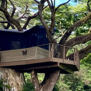 Visitors exploring a self-guided farm with crops and animals