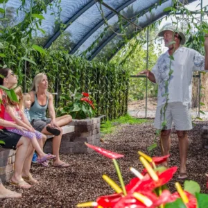 Island tour featuring vanilla plantation and local sights