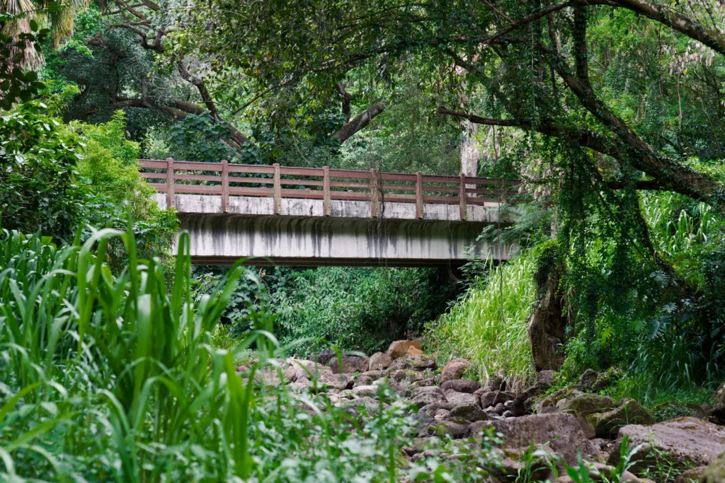 Customized private tour exploring Oahu’s highlights