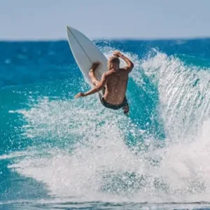 Late-start half-day tour of North Shore with turtle snorkel