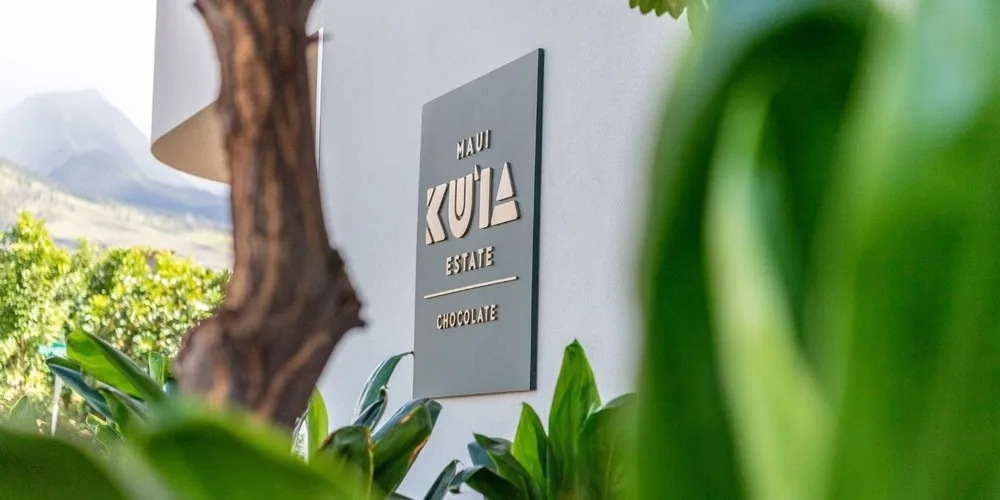 Visitors tasting fresh chocolate at an island factory tour