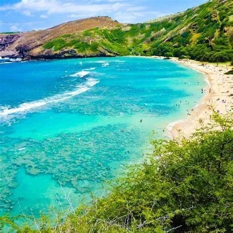 Private scuba diving tour for medium groups in Waikiki