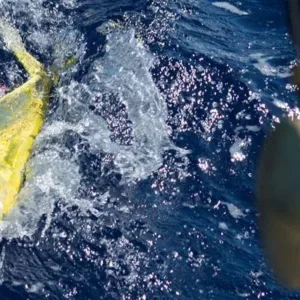 Small group enjoying a private fishing charter adventure