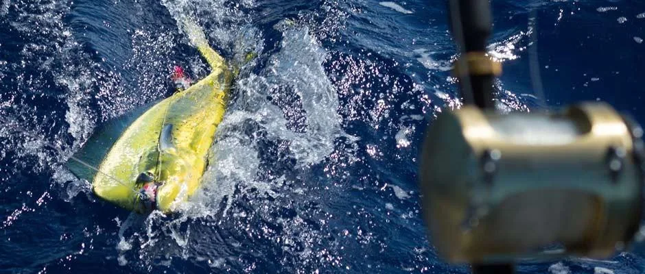 Small group enjoying a private fishing charter adventure