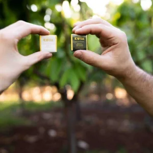 Visitors sampling chocolate at Maui nonprofit factory
