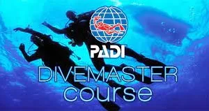 PADI Divemaster guiding scuba diving adventure underwater
