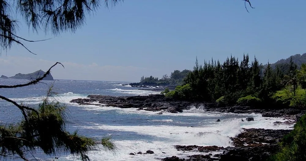 Hiking trail along unique Road to Hana in Maui