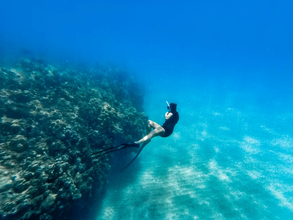 Snorkelers exploring vibrant coral reefs in clear water
