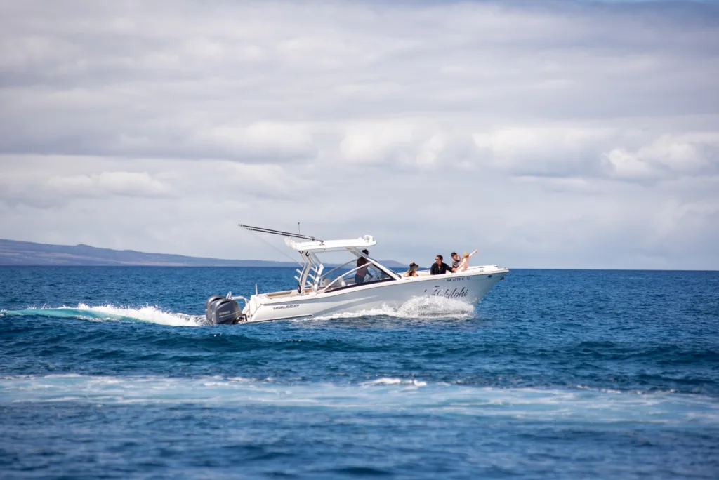 Scenic cruise along the Kohala Coast volcano area