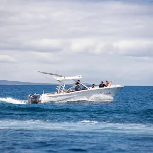 Scenic cruise along the Kohala Coast volcano area