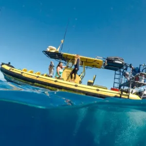 Exploring Hawaiian history, legends, and ancient myths