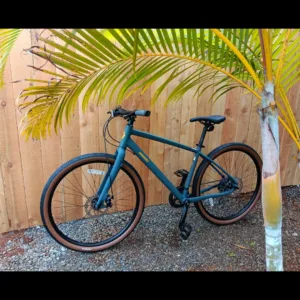 Two hour rental of geared bike for island tour