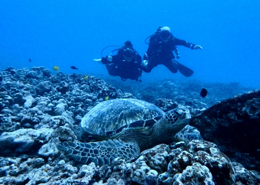 Early morning dive boat preparing for two tank charter