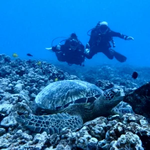 Early morning dive boat preparing for two tank charter