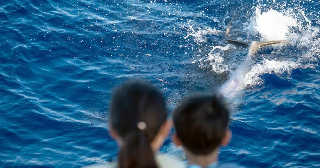 Snorkelers exploring vibrant coral reefs in Kona