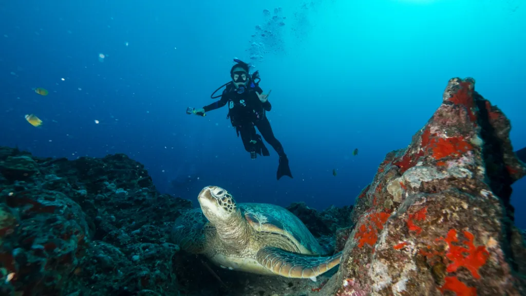 Ultimate three tank scuba dive exploring Oahu’s underwater world