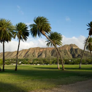 Shuttle transporting hikers to Diamond Head trailhead